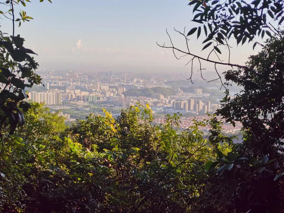 凯时KB88·(中国区)官方网站